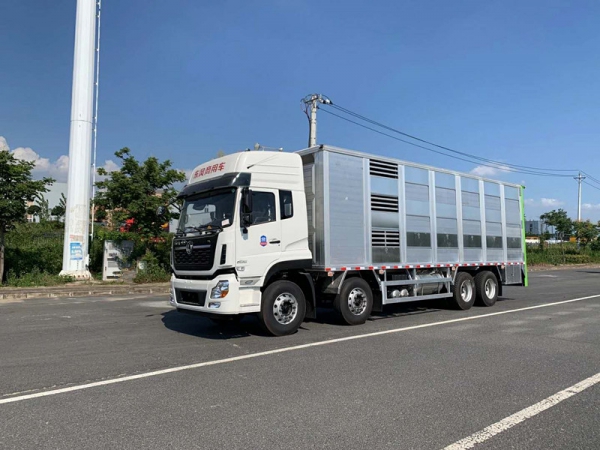 神綠SLV5310CCQD6畜禽運輸車（9.6米）